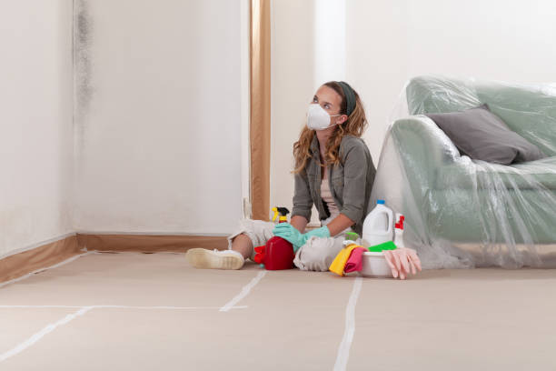Reliable Commercial Mold Remediation contractor in Cottage Grove, OR by Car Mold Remediation